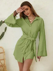 Collared Neck Long Sleeve Mini Shirt Dress - Femstylo