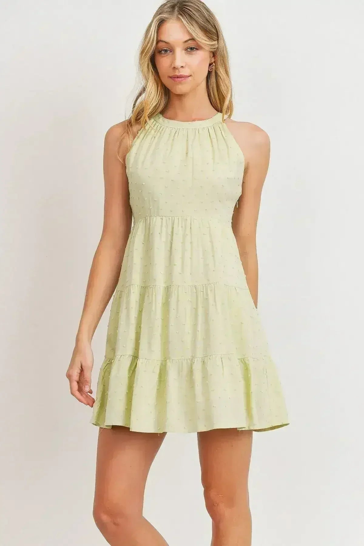 Roundneck Sleeveless Dotted Swiss Dress - Femstylo