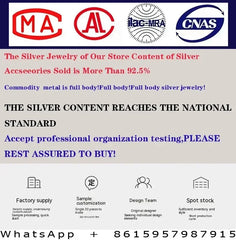 New S925 Sterling Silver Hip Hop Full CZ Choker Chain Necklace For Women Luxury Cubic AAA Zircon Short Accessories Fine Jewelry