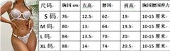 Sexy Lingerie Woman Lace Transparent Underwear Fairy Embroidery Brief Sets Delicate Bra Kit Push Up Breves Sets Thin Erotic Bras