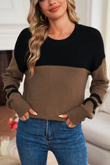 Dark Brown Colorblock Striped Sleeve Detail Knit Sweater