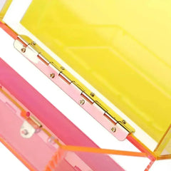Trendy Neon Two Tone Transparent Acrylic Clutch - Femstylo