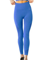 Mesh Seamless Legging with Ribbing Detail - Blue - Femstylo