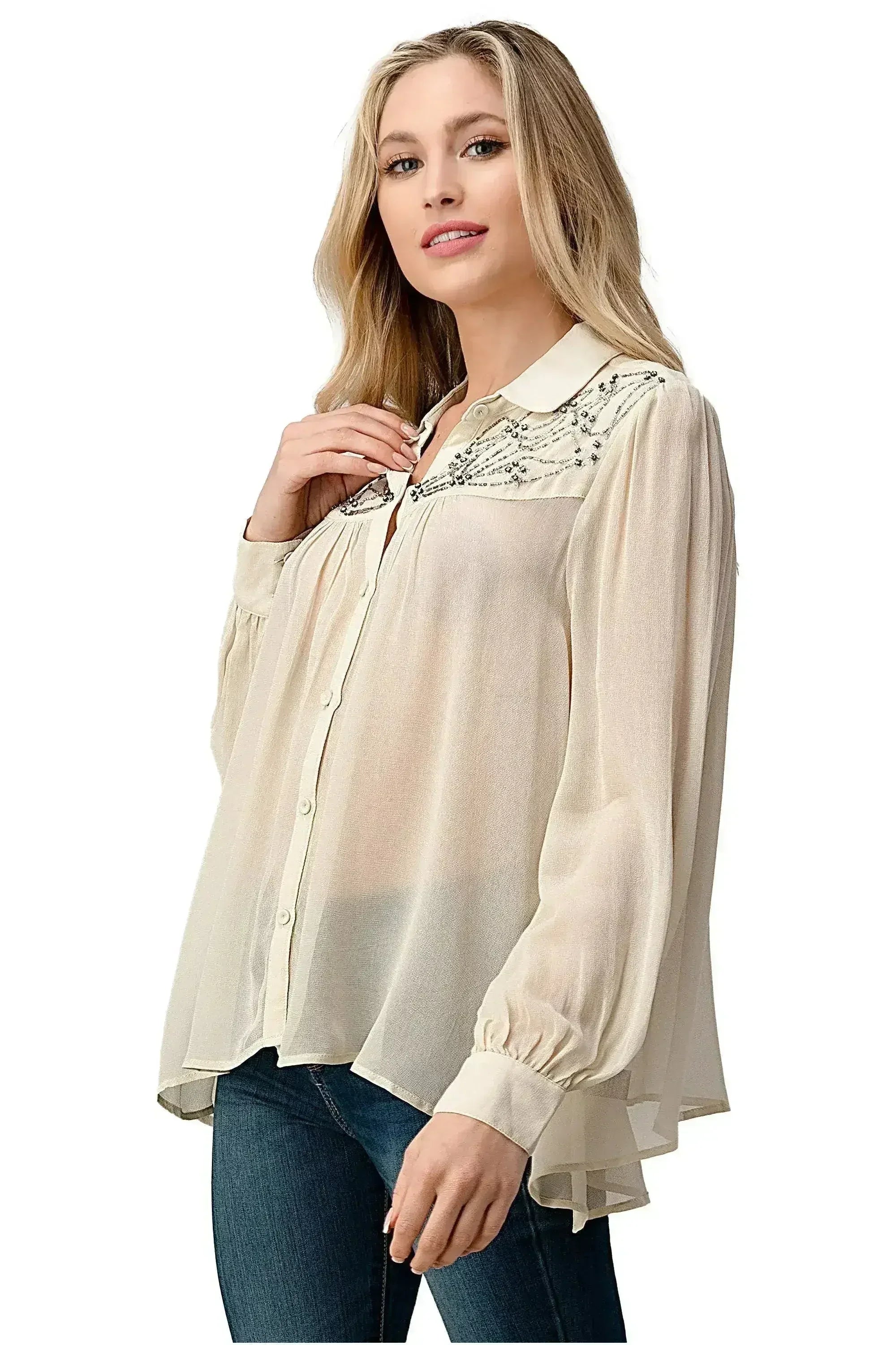 Embroidered Sheer Button-Up Blouse – Casual Elegance - Femstylo