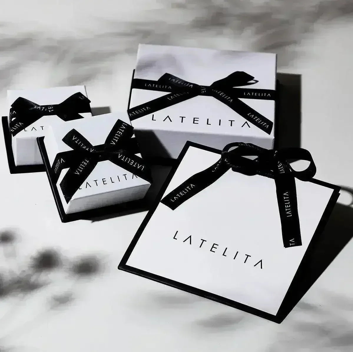 Latelita Long Drop Earrings Silver - Femstylo
