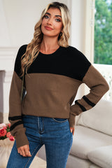 Dark Brown Colorblock Striped Sleeve Detail Knit Sweater