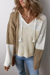 Brown Colorblock Hollow-out Tie V Neck Lightweight Sweater - Femstylo