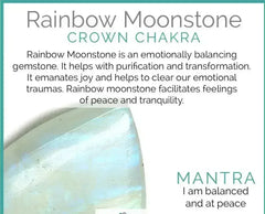 Rainbow Moonstone & Crystal Quartz Stretch Bracelet! Genuine Crystals! - Femstylo