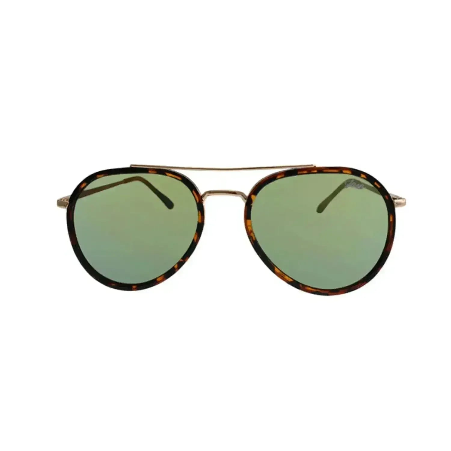 Jase New York Stark Sunglasses in Havana - Femstylo